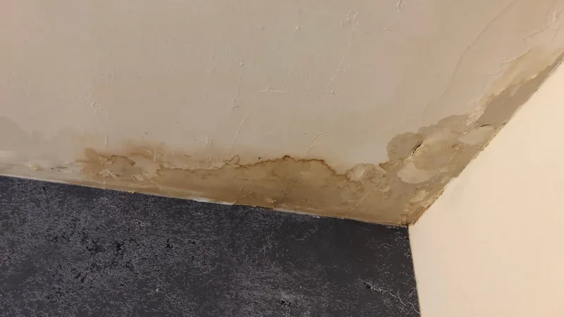 Vochtplek en loslatende verf in een plafondhoek door een daklekkage