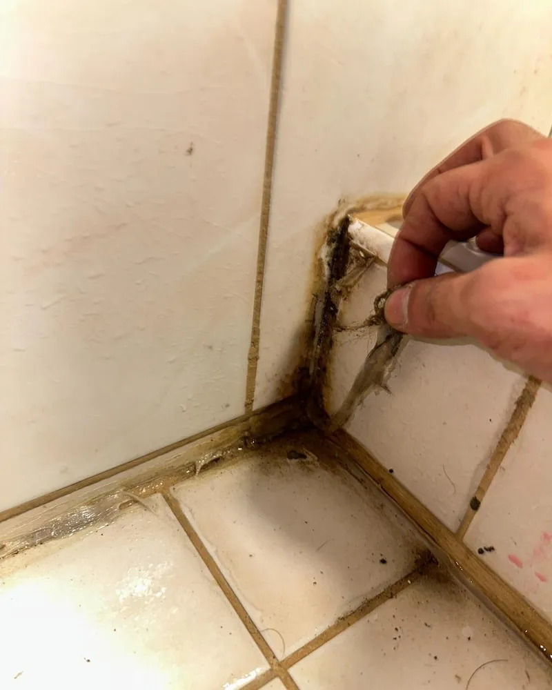 Beschimmelde kit wordt met de hand uit een betegelde hoek getrokken